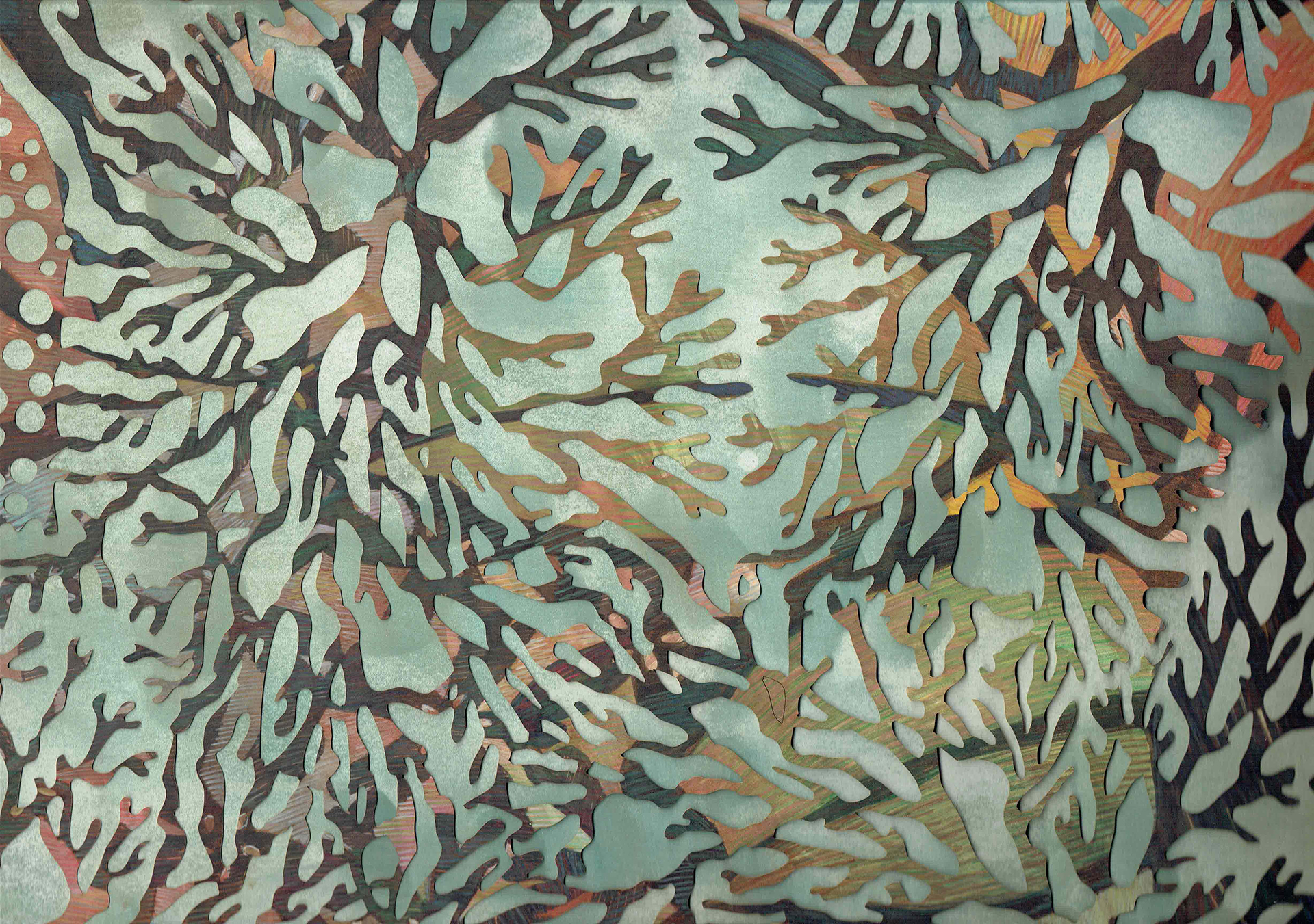 Emma Robertson - Seaweed Series